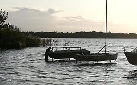Am Schwielochsee1